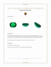 8.83 Ct. Emerald from Zambia Appraisal