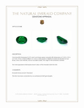 4.59 Ct. Emerald from Zambia Appraisal