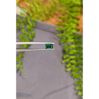 0.75 Ct. Emerald from Afghanistan Life Style