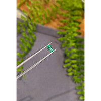 0.52 Ct. Emerald from Afghanistan Life Style