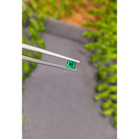 0.24 Ct. Emerald from Afghanistan Life Style