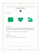 0.50 Ct. Emerald from Afghanistan Appraisal