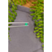 0.18 Ct. Emerald from Afghanistan Life Style