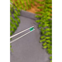 0.23 Ct. Emerald from Afghanistan Life Style