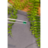 0.36 Ct. Emerald from Afghanistan Life Style