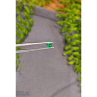 0.25 Ct. Emerald from Afghanistan Life Style
