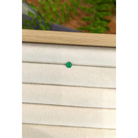 0.25 Ct. Emerald from Afghanistan Life Style