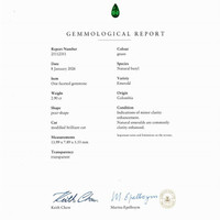 2.90 Ct. Emerald from Colombia - Muzo Pdf