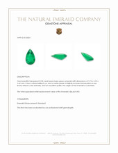 0.98 Ct. Emerald from Colombia Appraisal