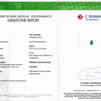 0.98 Ct. Emerald from Colombia - Muzo Pdf