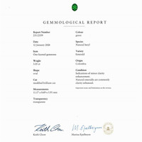 3.05 Ct. Emerald from Colombia - Muzo Pdf