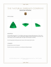 1.07 Ct. Emerald from Colombia Appraisal