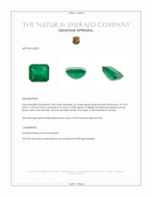 2.83 Ct. Emerald from Zambia Appraisal