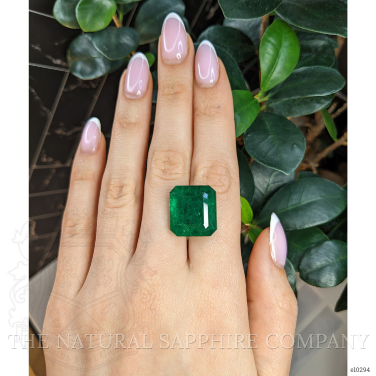 22.93 Ct. Emerald from Colombia