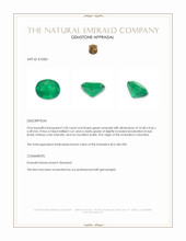 3.30 Ct. Emerald from Colombia Appraisal