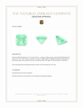1.07 Ct. Emerald from Colombia Appraisal