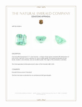 2.71 Ct. Emerald from Colombia Appraisal