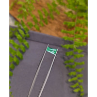 1.15 Ct. Emerald from Russia Life Style