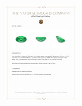 3.84 Ct. Emerald from Russia Appraisal