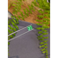 1.85 Ct. Emerald from Russia Life Style