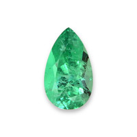 1.23 Ct. Emerald from Russia Video