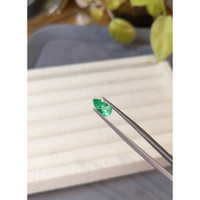 1.23 Ct. Emerald from Russia Life Style