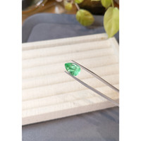 4.71 Ct. Emerald from Russia Life Style