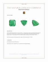 3.23 Ct. Emerald from Russia Appraisal