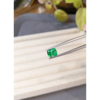 1.99 Ct. Emerald from Russia Life Style