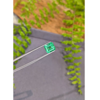 3.95 Ct. Emerald from Russia Life Style