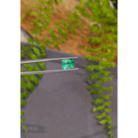 2.41 Ct. Emerald from Russia Life Style