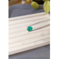 1.66 Ct. Emerald from Russia Life Style