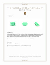 3.49 Ct. Emerald from Russia Appraisal