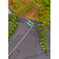 2.68 Ct. Emerald from Russia Life Style