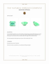 1.01 Ct. Emerald from Russia Appraisal