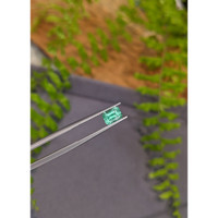 1.01 Ct. Emerald from Russia Life Style