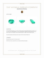 1.31 Ct. Emerald from Russia Appraisal