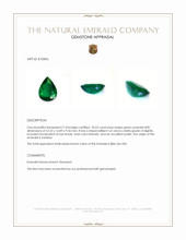 18.63 Ct. Emerald from Zambia Appraisal