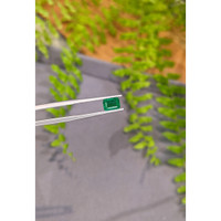 1.15 Ct. Emerald from Zambia Life Style