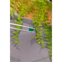 0.96 Ct. Emerald from Zambia Life Style