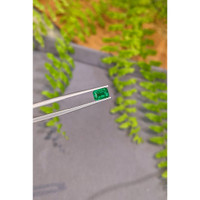 1.02 Ct. Emerald from Zambia Life Style