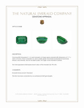 1.14 Ct. Emerald from Zambia Appraisal