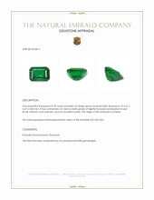 0.78 Ct. Emerald from Zambia Appraisal