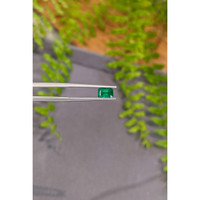 0.78 Ct. Emerald from Zambia Life Style