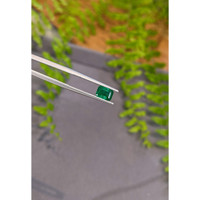 1.03 Ct. Emerald from Zambia Life Style