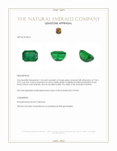 1.24 Ct. Emerald from Zambia Appraisal