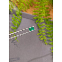 0.79 Ct. Emerald from Zambia Life Style