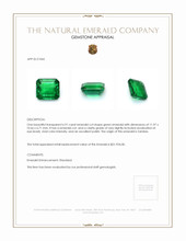 6.91 Ct. Emerald from Zambia Appraisal
