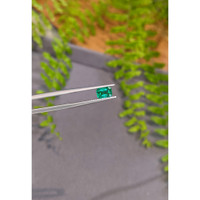 0.85 Ct. Emerald from Zambia Life Style
