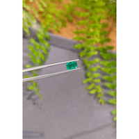 1.03 Ct. Emerald from Zambia Life Style